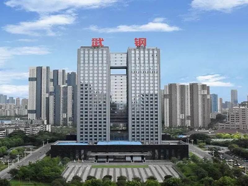 武漢鋼鐵有限公司